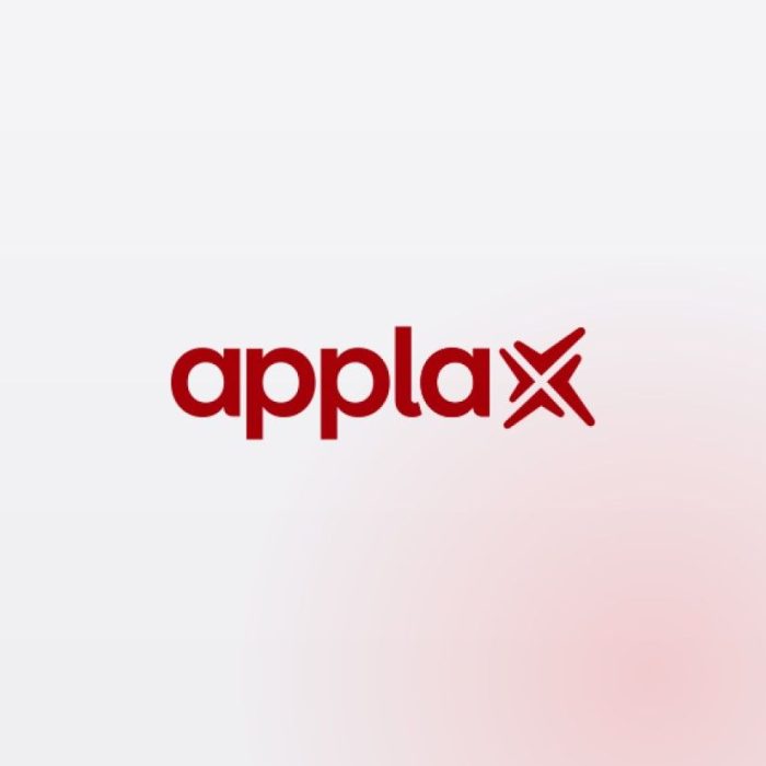 Appla-X payments project by Magixs