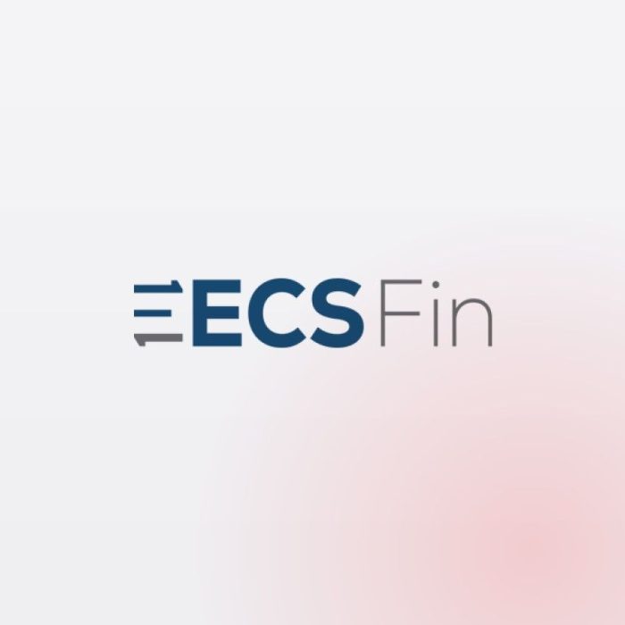 ECS Fin project by Magixs