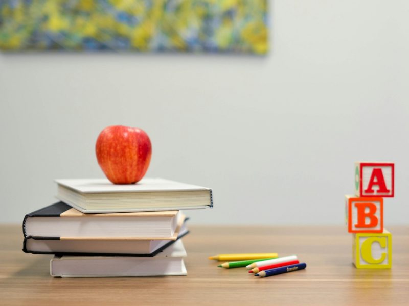 School management ERP system built by Magixs